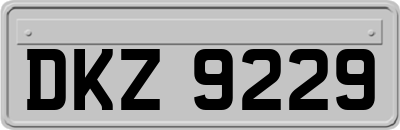 DKZ9229