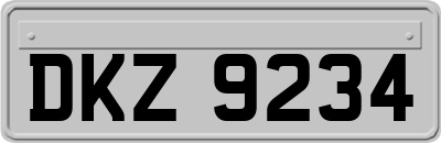 DKZ9234