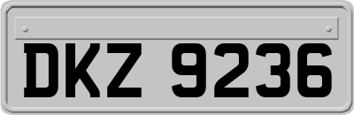 DKZ9236