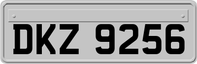 DKZ9256