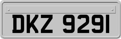 DKZ9291