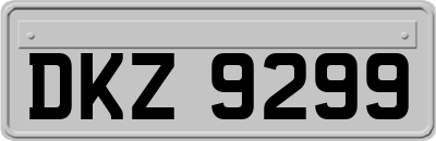 DKZ9299