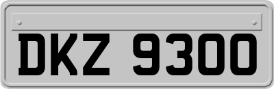 DKZ9300