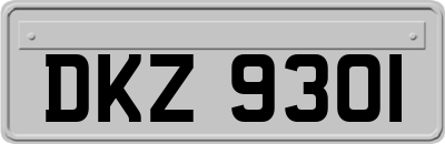 DKZ9301