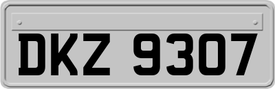 DKZ9307