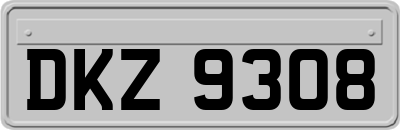DKZ9308