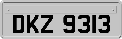 DKZ9313