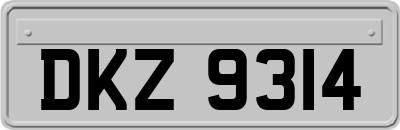 DKZ9314