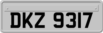 DKZ9317