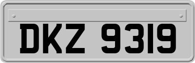 DKZ9319