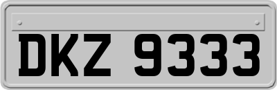 DKZ9333