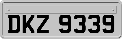 DKZ9339