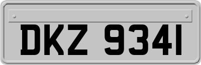 DKZ9341