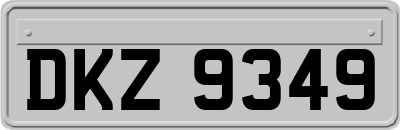 DKZ9349