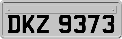 DKZ9373