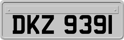DKZ9391