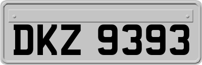 DKZ9393