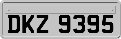 DKZ9395