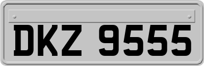 DKZ9555