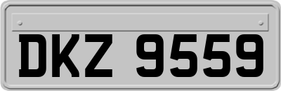 DKZ9559
