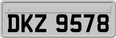 DKZ9578