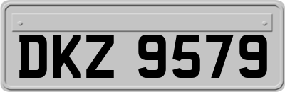 DKZ9579
