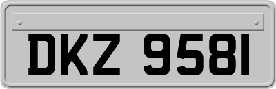 DKZ9581