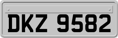 DKZ9582