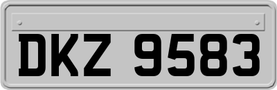DKZ9583