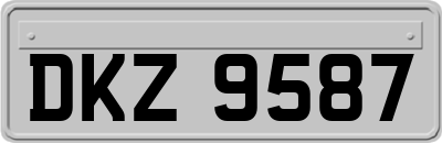 DKZ9587