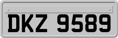 DKZ9589