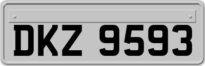 DKZ9593