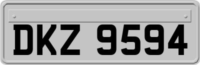 DKZ9594