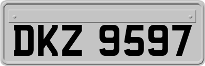 DKZ9597