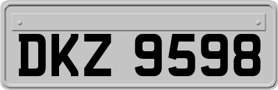 DKZ9598