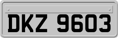 DKZ9603