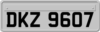 DKZ9607