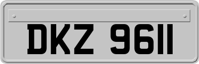 DKZ9611