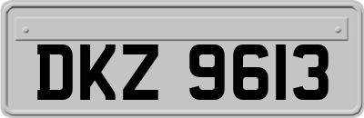 DKZ9613