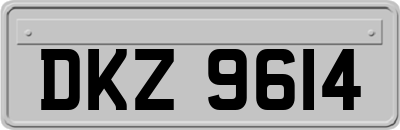DKZ9614