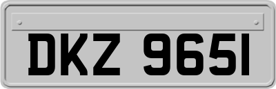 DKZ9651
