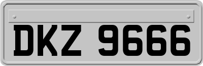 DKZ9666