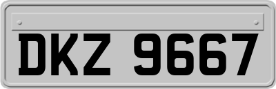 DKZ9667