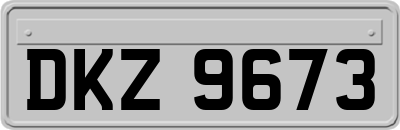 DKZ9673