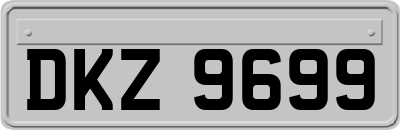 DKZ9699