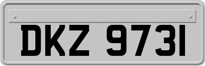 DKZ9731