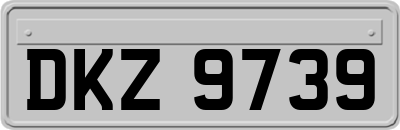 DKZ9739