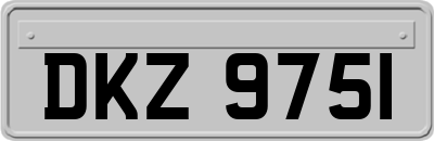 DKZ9751