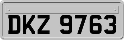 DKZ9763