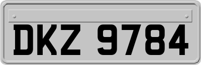 DKZ9784